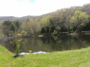 pond1