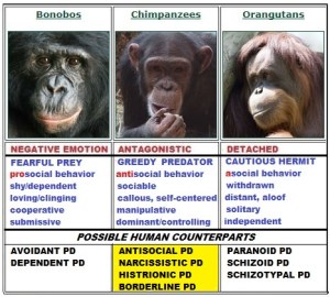 Primates_chimps