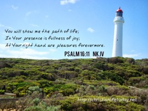 Psalm 16 v 11 path of life bible verses on happiness