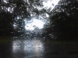 rainy_stuff1
