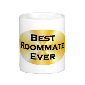Best-Roommate-Ever1