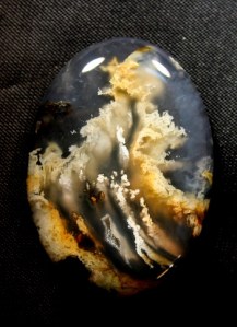 picturejasper11