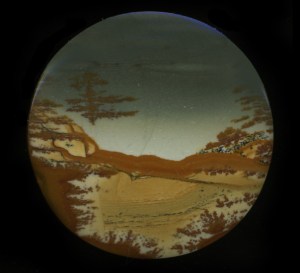 picturejasper6