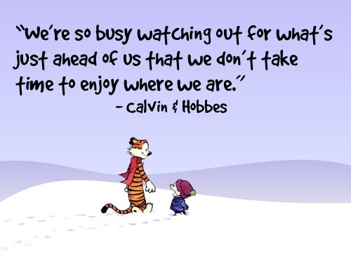 hobbes_mindfulness