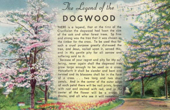 dogwood_legend
