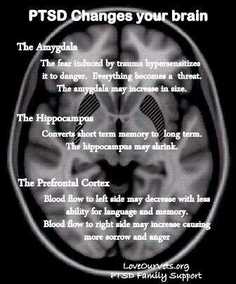 ptsd_info_2