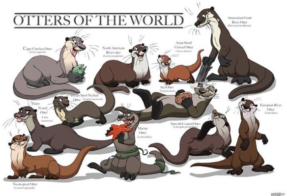 world_otters
