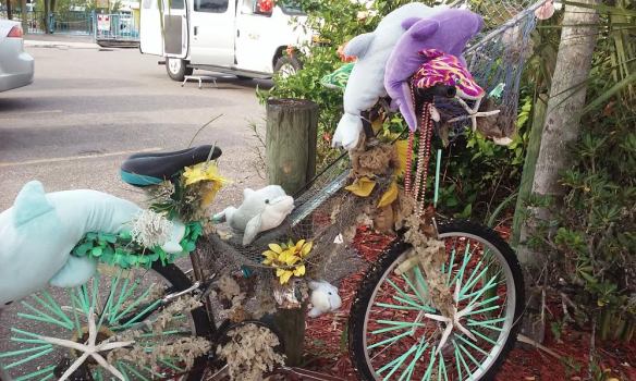 dolphin_bike