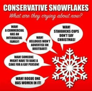 conservativesnowflakes