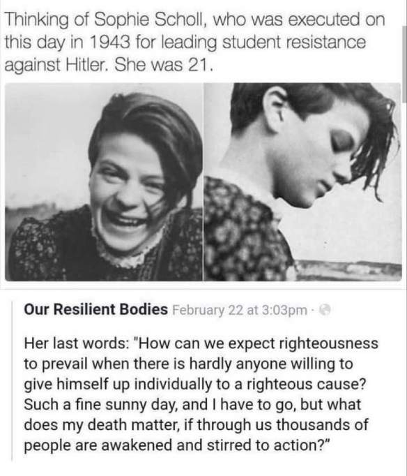 sophiescholz