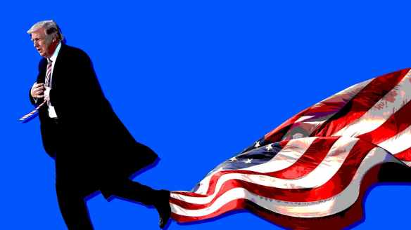 mentally speaking trump flag