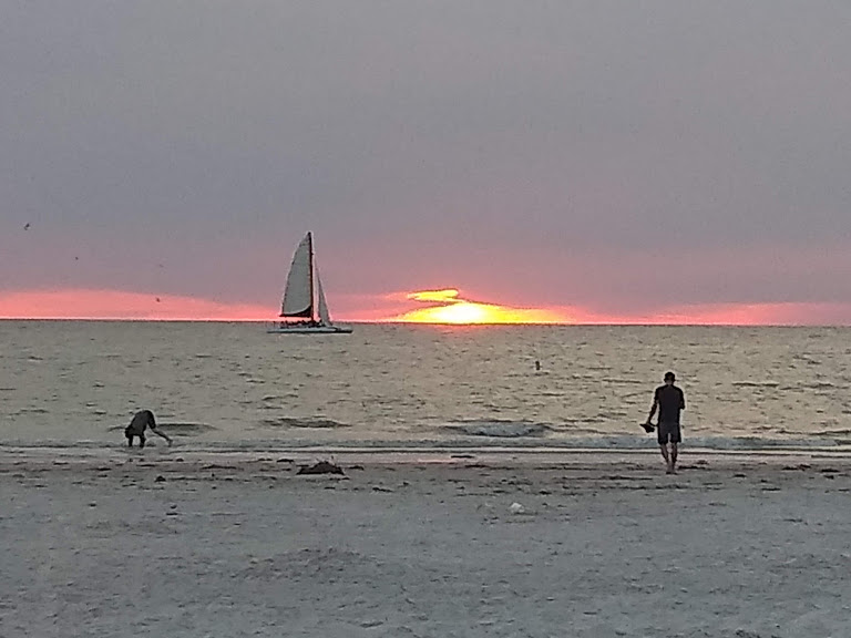 sunsetclearwater2019a