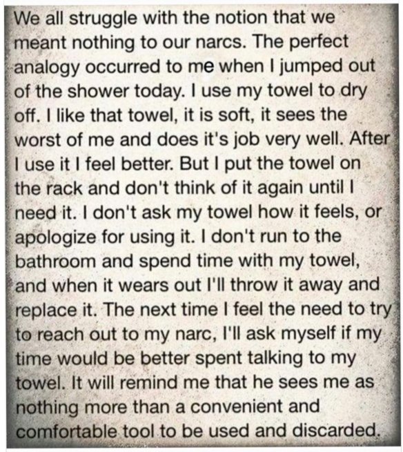 narcissisttowel